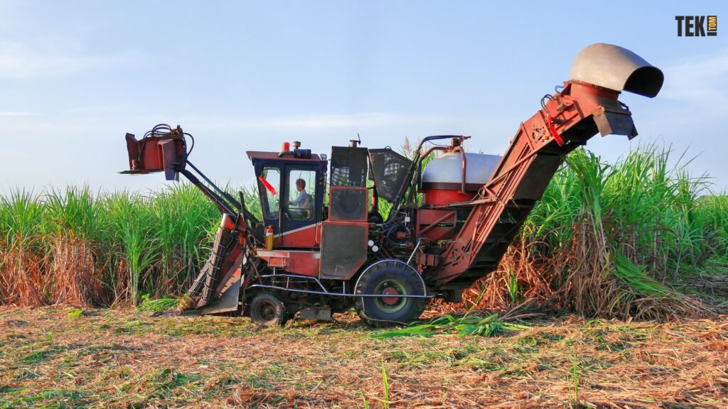 Agro negócio Brasil