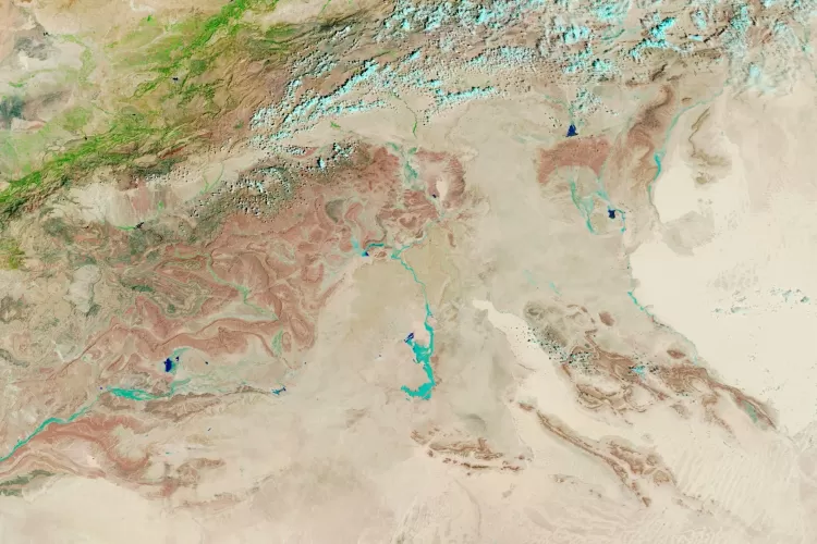 Deserto do Saara verde após chuvas intensas